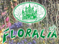 Floralia Primavera 2015 mercatino benefico